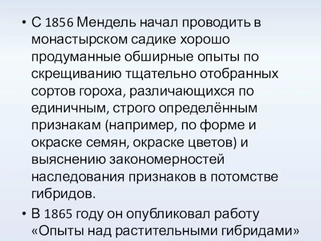 С 1856 Мендель начал проводить в монастырском садике хорошо продуманные обширные опыты