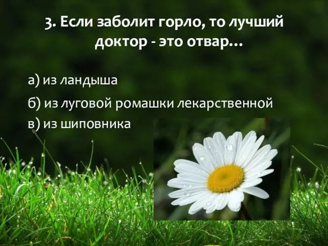 3. Если заболит горло, то лучший доктор - это отвар… а) из