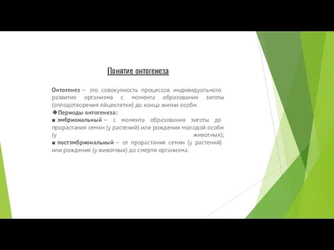 Понятие онтогенеза Онтогенез — это совокупность процессов индивидуального развития организма с момента