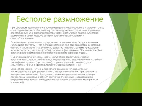 Бесполое размножение При бесполом размножении в воспроизведении себе подобного участвует только одна