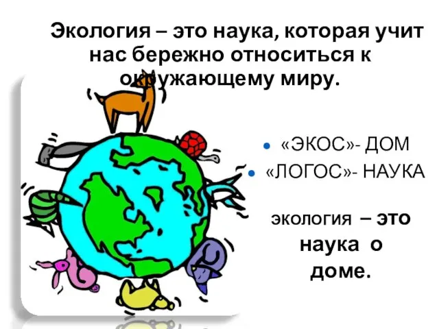 Экология – это наука, которая учит нас бережно относиться к окружающему миру.