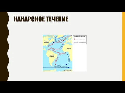 КАНАРСКОЕ ТЕЧЕНИЕ