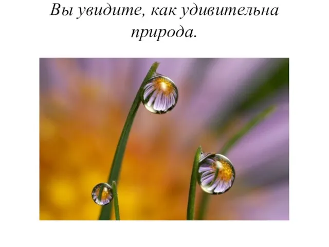 Вы увидите, как удивительна природа.