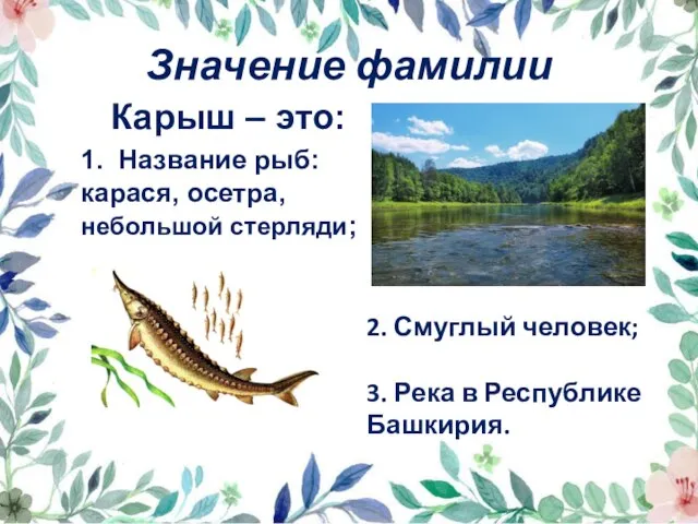 Значение фамилии Карыш – это: 1. Название рыб: карася, осетра, небольшой стерляди;