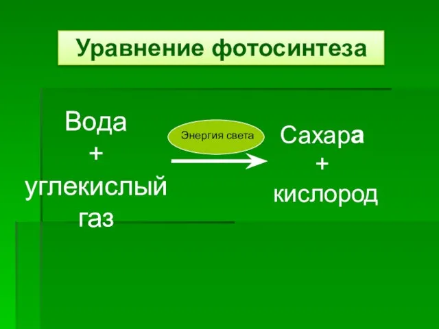 Уравнение фотосинтеза Вода + углекислый газ Сахара + кислород Энергия света