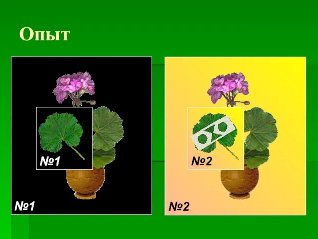 №2 Опыт №1 №2 №1