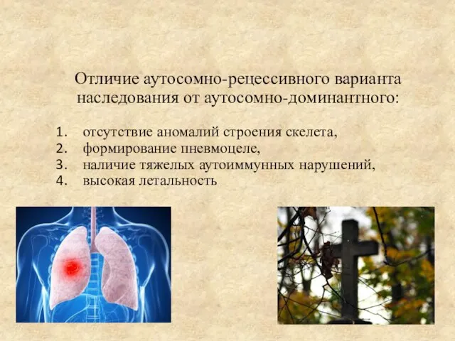 Отличие аутосомно-рецессивного варианта наследования от аутосомно-доминантного: отсутствие аномалий строения скелета, формирование пневмоцеле,