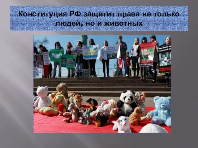Конституция РФ защитит права не только людей, но и животных