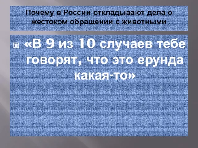 Почему в России откладывают дела о жестоком обращении с животными «В 9