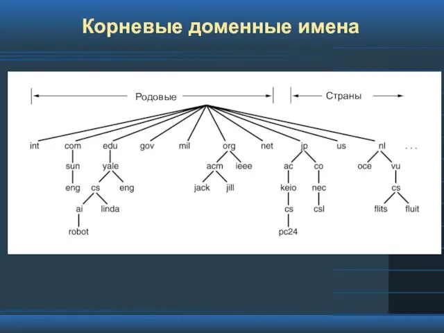 Корневые доменные имена