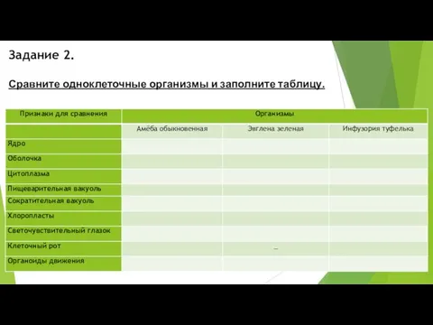 Задание 2. Сравните одноклеточные организмы и заполните таблицу.