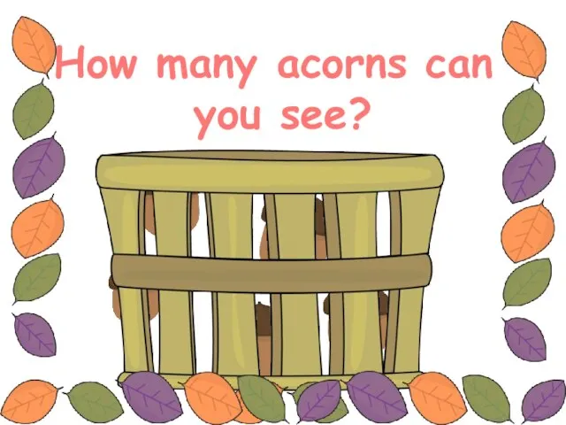 How many acorns can you see?