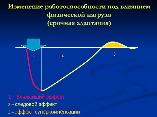 Изменение работоспособности под влиянием физической нагрузи (срочная адаптация) 1 - Ближайший эффект