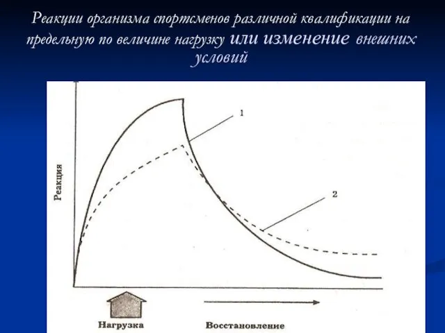 Реакции организма спортсменов различной квалификации на предельную по величине нагрузку или изменение внешних условий