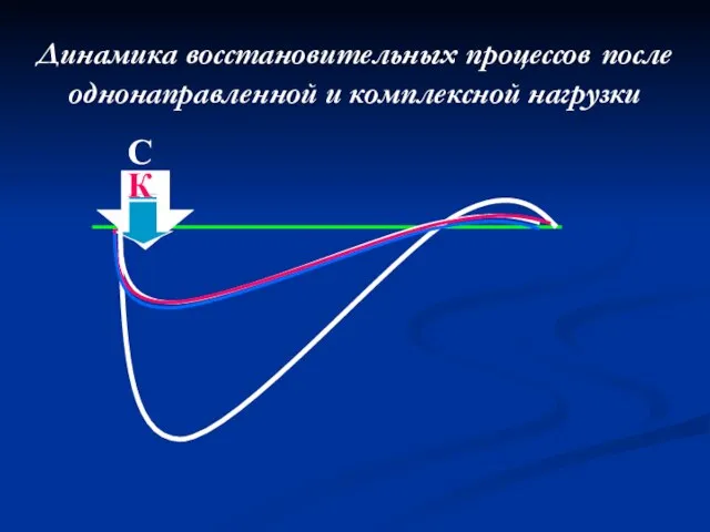 Динамика восстановительных процессов после однонаправленной и комплексной нагрузки С К