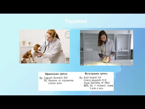 Терапия