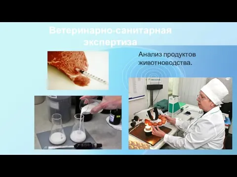 Ветеринарно-санитарная экспертиза Анализ продуктов животноводства.