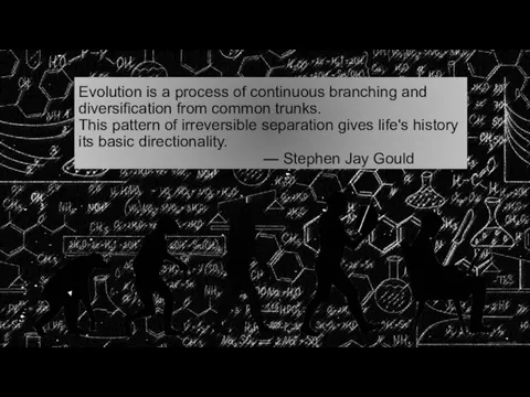 Evolution is a process of continuous branching and diversification from common trunks.