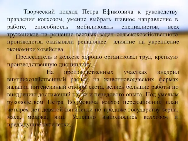 Творческий подход Петра Ефимовича к руководству правления колхозом, умение выбрать главное направление