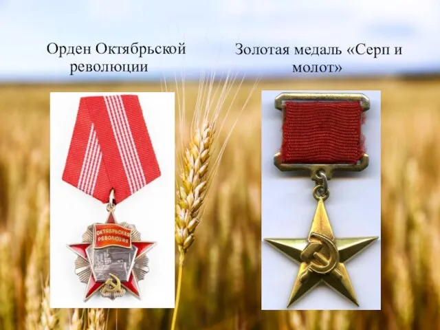 Орден Октябрьской революции Золотая медаль «Серп и молот»