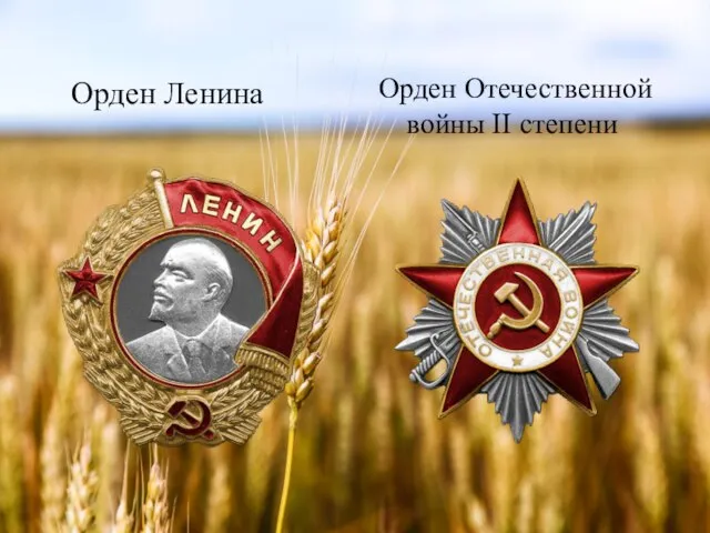 Орден Ленина Орден Отечественной войны II степени