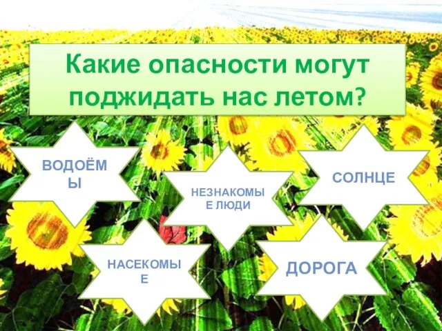 Какие опасности могут поджидать нас летом? ВОДОЁМЫ СОЛНЦЕ НЕЗНАКОМЫЕ ЛЮДИ НАСЕКОМЫЕ ДОРОГА