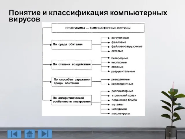 Понятие и классификация компьютерных вирусов 3