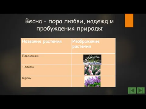 Весна – пора любви, надежд и пробуждения природы