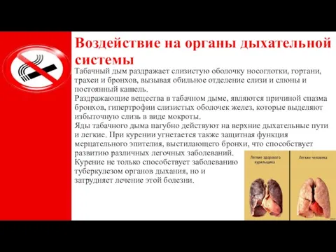 Воздействие на органы дыхательной системы Табачный дым раздражает слизистую оболочку носоглотки, гортани,