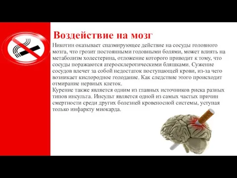 Воздействие на мозг Никотин оказывает спазмирующее действие на сосуды головного мозга, что