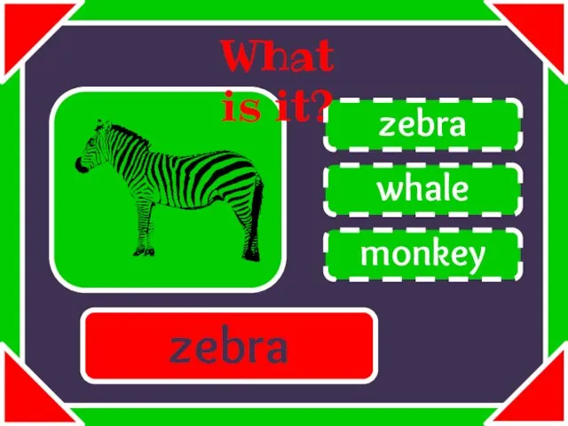 whale zebra monkey What is it? zebra