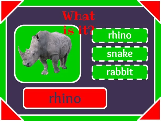 snake rhino rabbit What is it? rhino