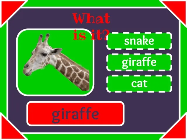 giraffe snake cat What is it? giraffe