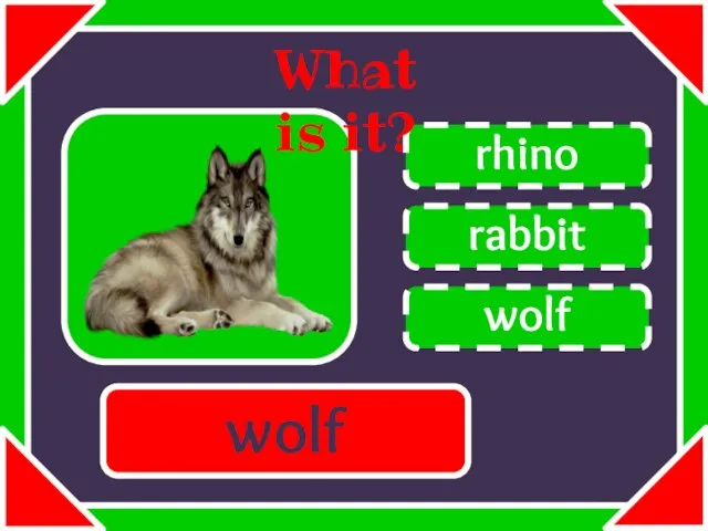 rabbit rhino wolf What is it? wolf