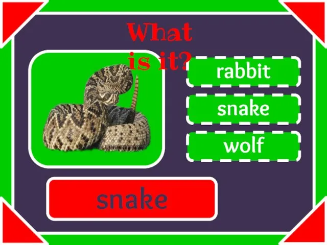 snake rabbit wolf What is it? snake