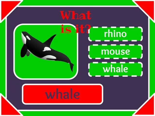 mouse rhino whale What is it? whale