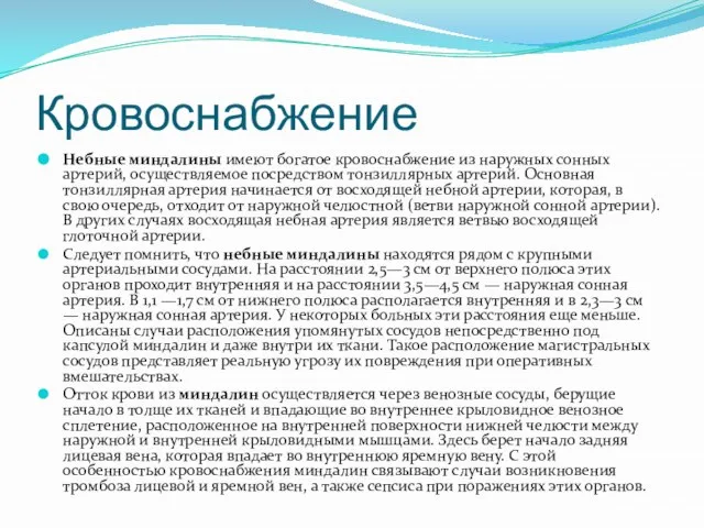 Кровоснабжение Небные миндалины имеют богатое кровоснабжение из наружных сонных артерий, осуществляемое посредством