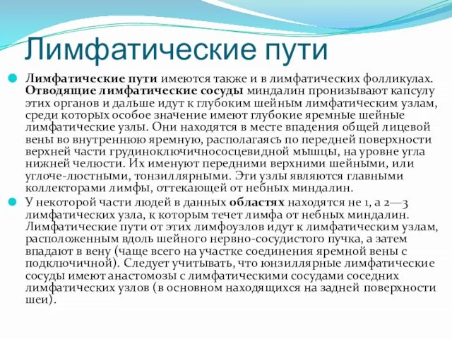 Лимфатические пути Лимфатические пути имеются также и в лимфатических фолликулах. Отводящие лимфатические