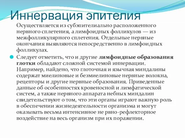 Иннервация эпителия Осуществляется из субэпителиально расположенного нервного сплетения, а лимфоидных фолликулов —