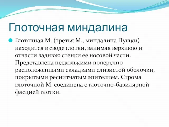 Глоточная миндалина Глоточная М. (третья М., миндалина Пушки) находится в своде глотки,