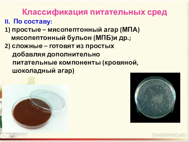 Классификация питательных сред II. По составу: 1) простые – мясопептонный агар (МПА)