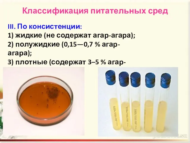 Классификация питательных сред III. По консистенции: 1) жидкие (не содержат агар-агара); 2)