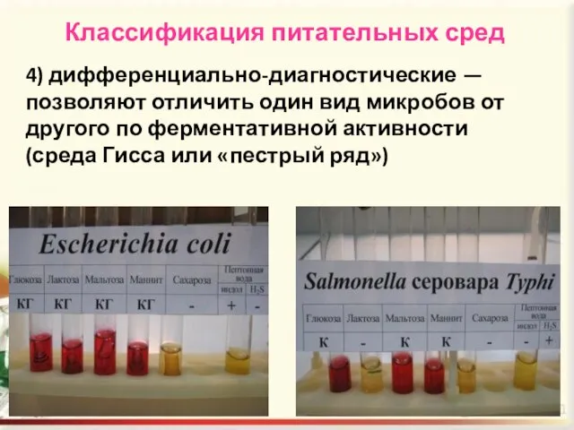 Классификация питательных сред 4) дифференциально-диагностические — позволяют отличить один вид микробов от