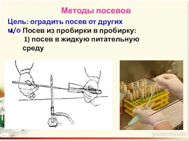 Методы посевов Цель: оградить посев от других м/о Посев из пробирки в