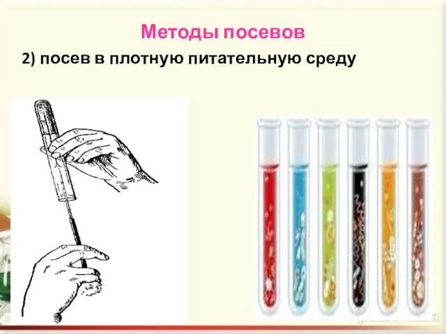 Методы посевов 2) посев в плотную питательную среду