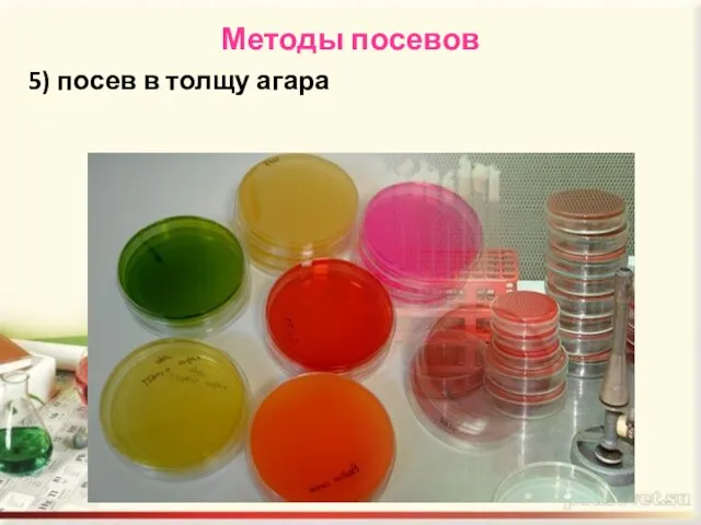 Методы посевов 5) посев в толщу агара