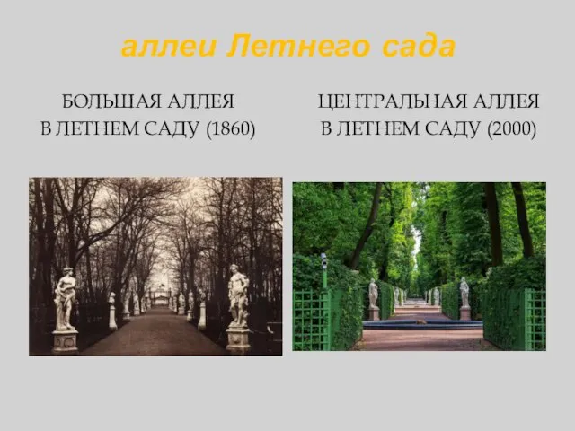 аллеи Летнего сада БОЛЬШАЯ АЛЛЕЯ В ЛЕТНЕМ САДУ (1860) ЦЕНТРАЛЬНАЯ АЛЛЕЯ В ЛЕТНЕМ САДУ (2000)