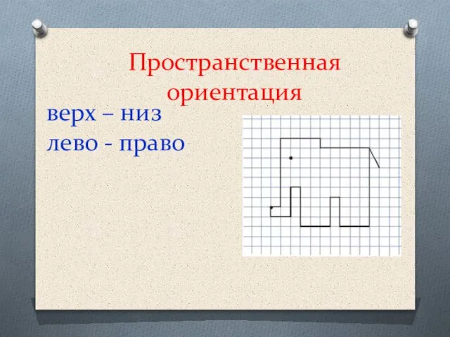 Пространственная ориентация верх – низ лево - право