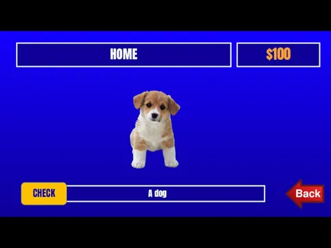 HOME $100 A dog CHECK