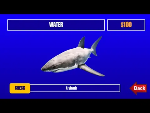 WATER $100 A shark CHECK